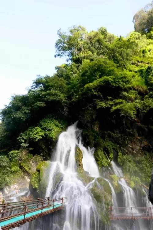 救援鹦鹉