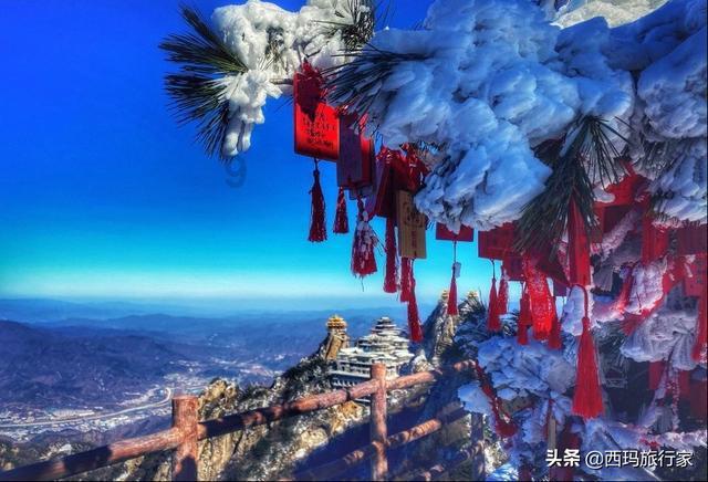 电影版《花千骨》票房不佳,导演道歉,赵丽颖发声